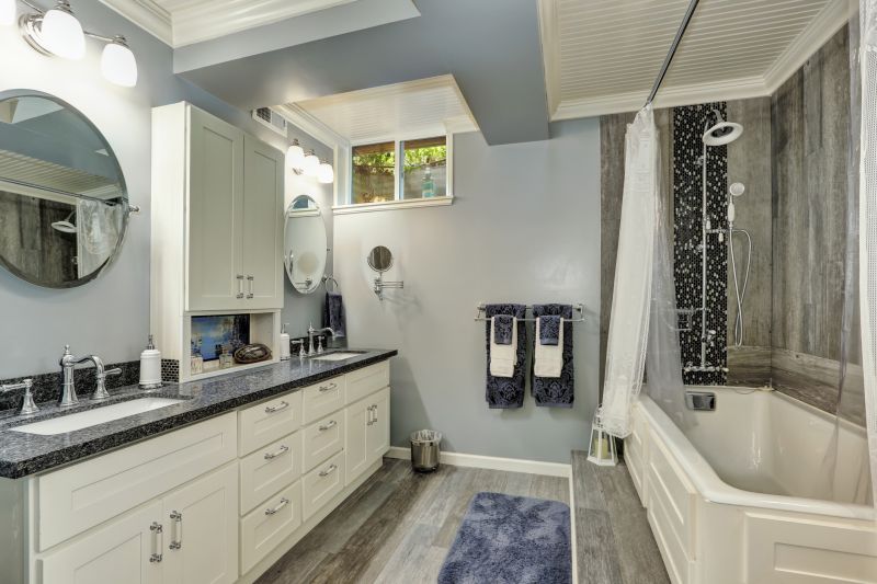 Contemporary Vanity and Countertop Upgrades