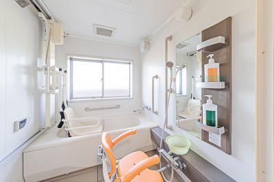 Accessible Bath Remodel detail